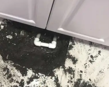 莱阳查漏水哪家好